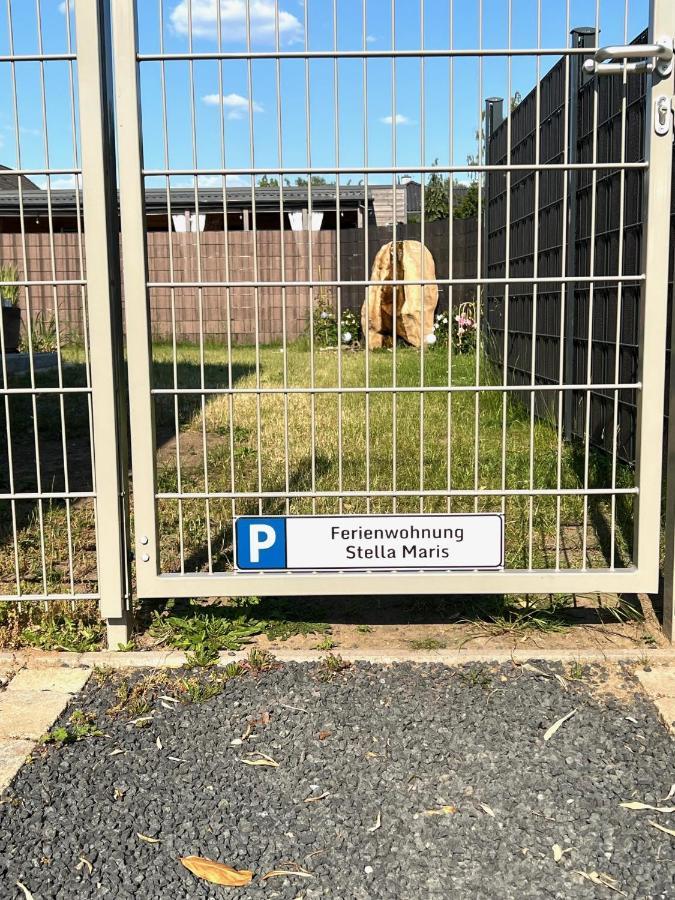 Ferien-Whg Souterrain Exklusives App Stella Maris Mit Parkplatz Direkt Am Steinhuder-Meer 文斯托夫 外观 照片