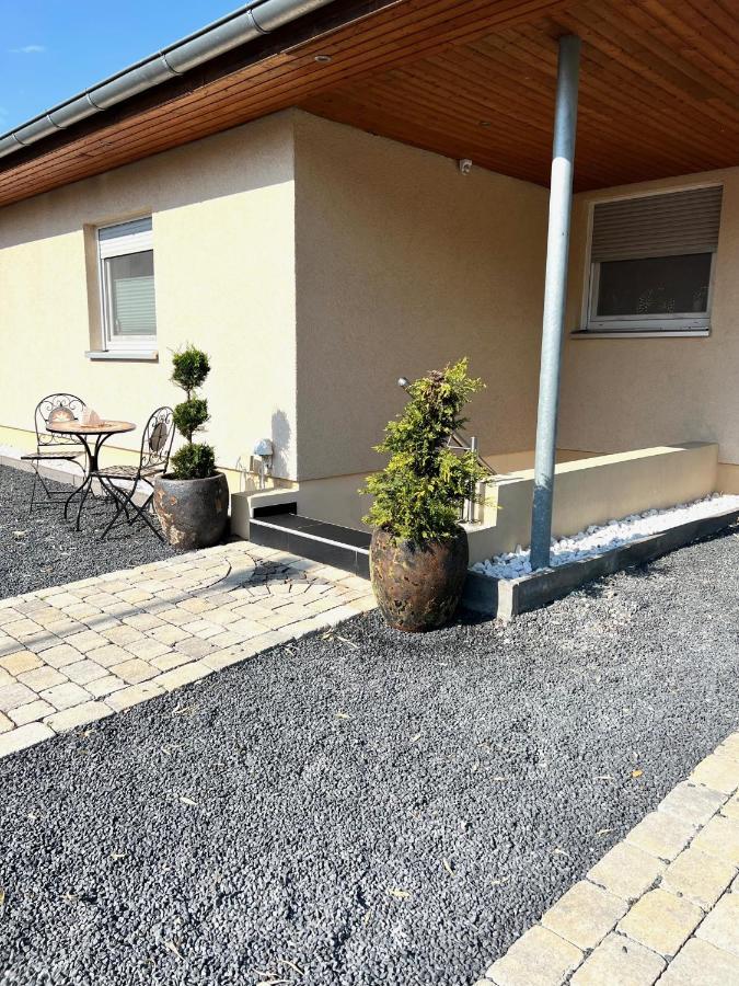 Ferien-Whg Souterrain Exklusives App Stella Maris Mit Parkplatz Direkt Am Steinhuder-Meer 文斯托夫 外观 照片
